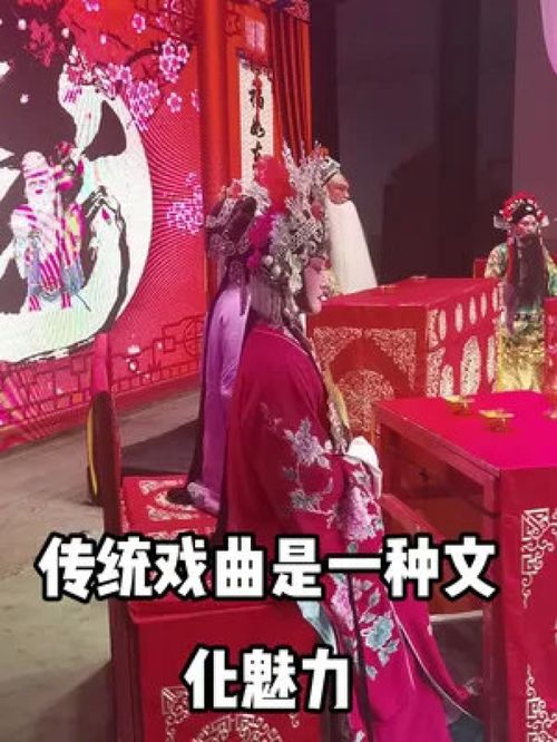 光影定格梨园盛景，舞台传扬戏曲精魂——《算粮》演出现场拍摄纪实